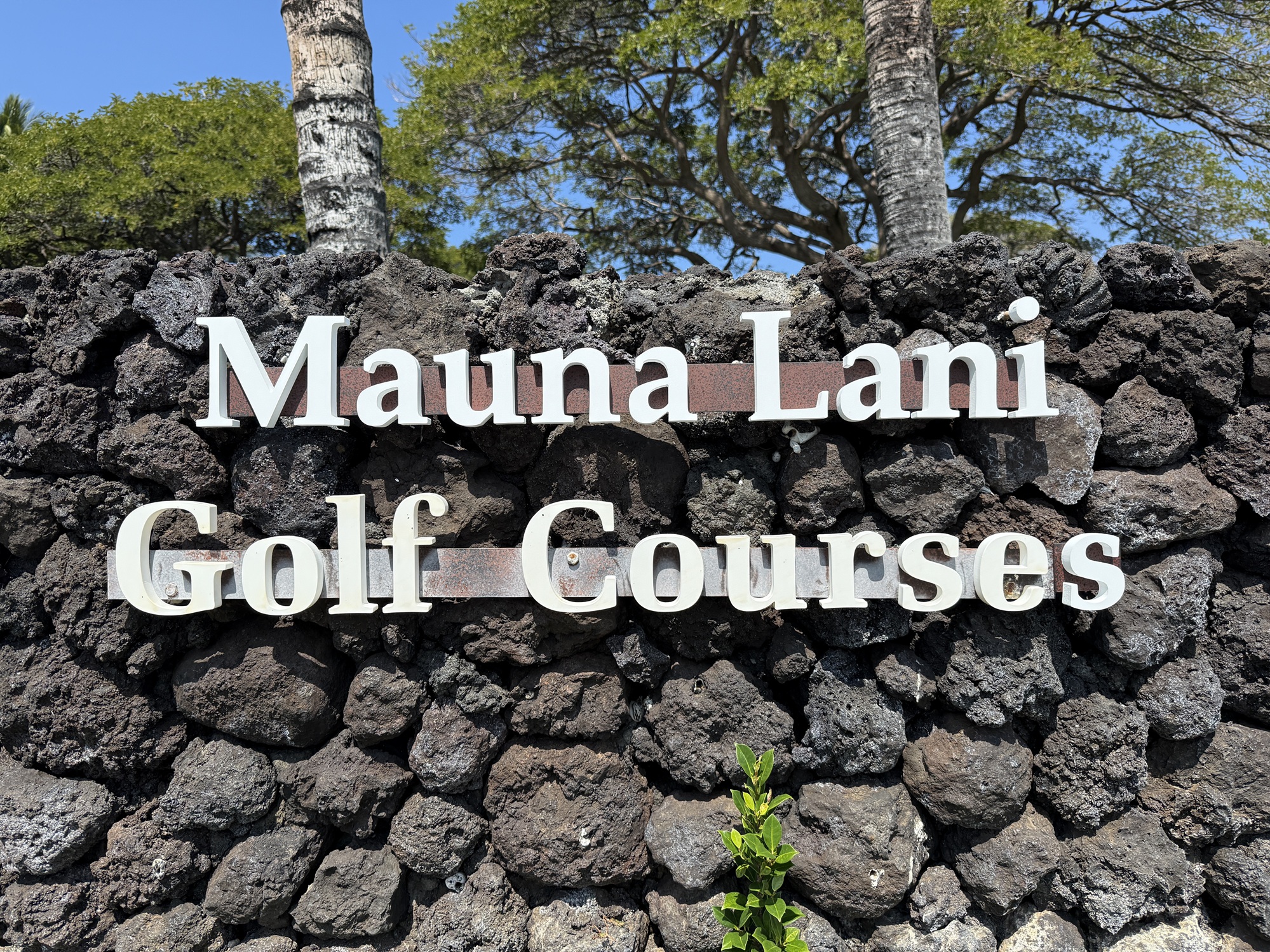 Mauna Lani Resort: South Course (Kamuela, HI on 02/14/25)